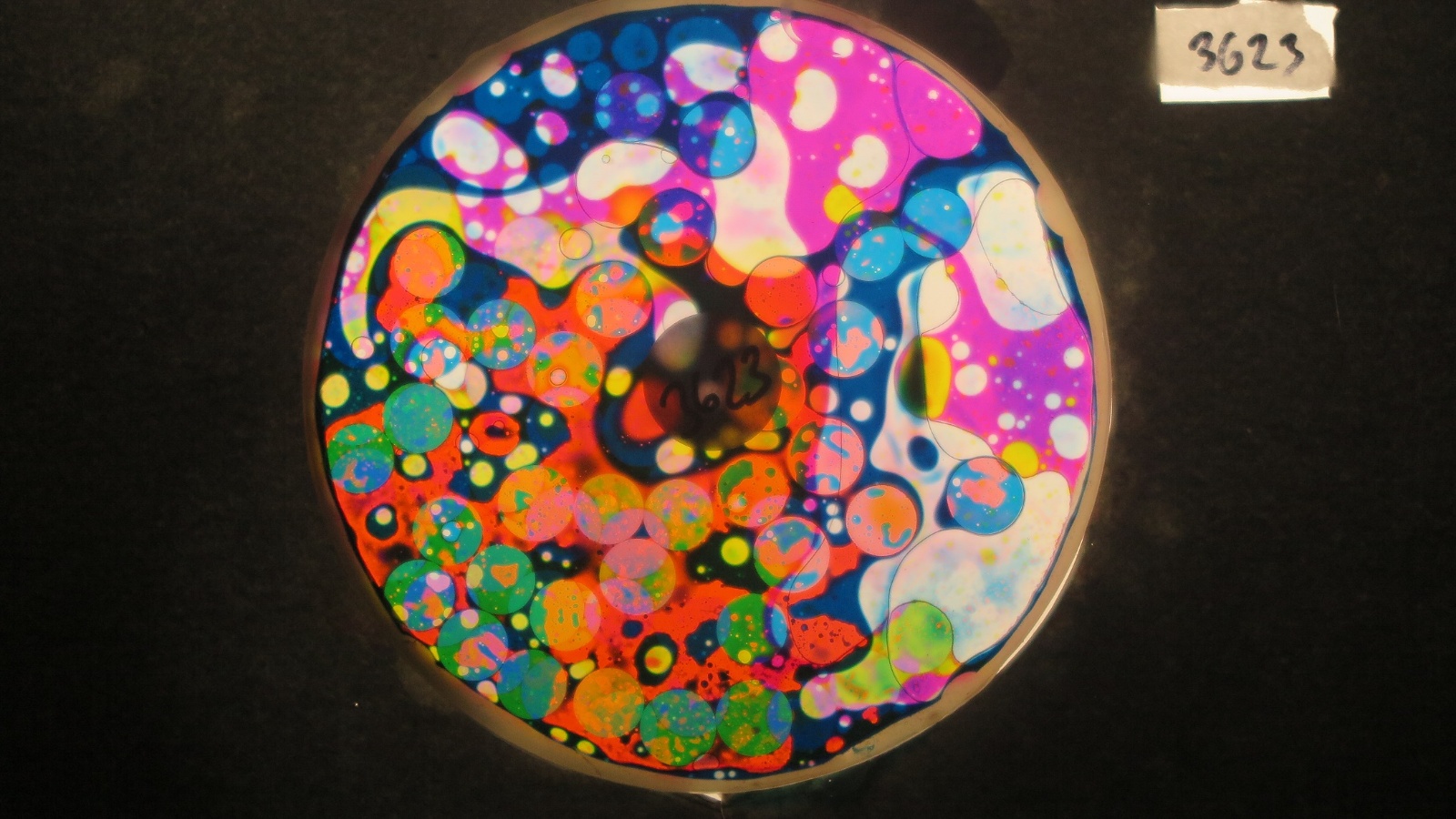 BV3623 bubble vision oil wheel